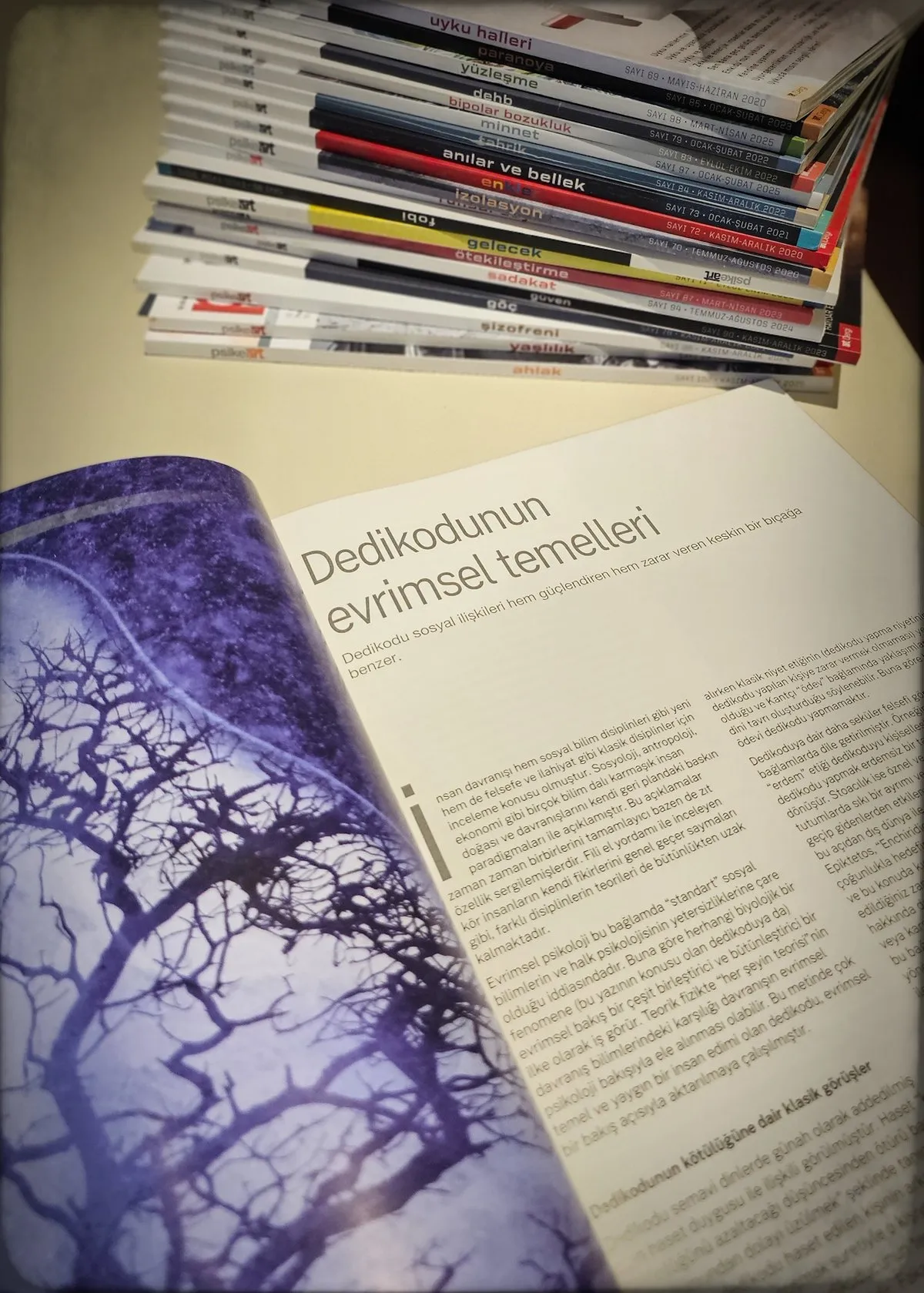 Dedikodunun Evrimsel Analizi