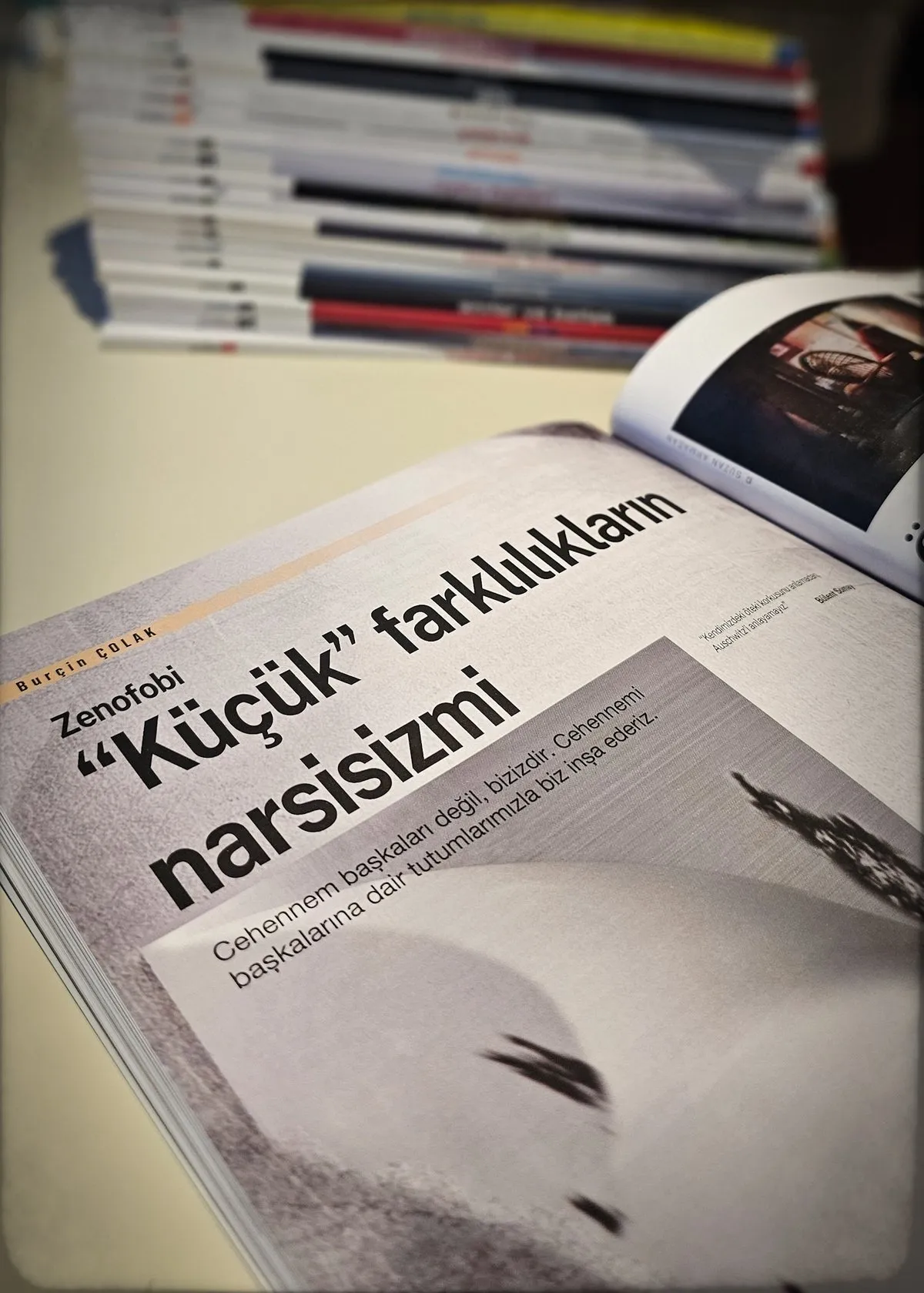 "Küçük" Farklılıkların Narsisizmi: Zenofobi